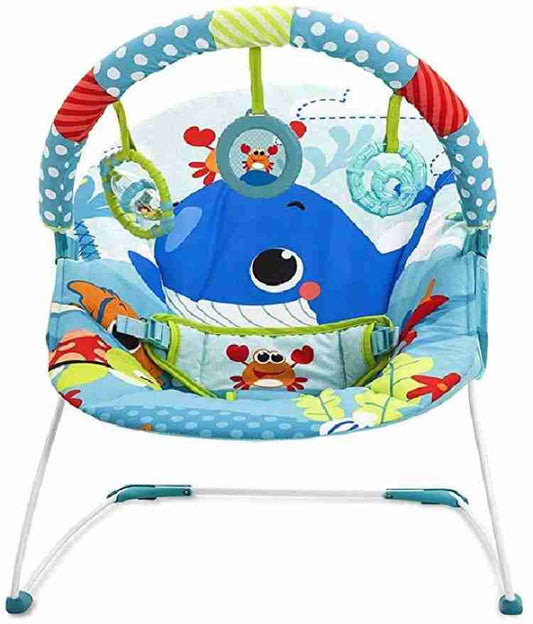 Mastela Soothing Vibrations Bouncer.